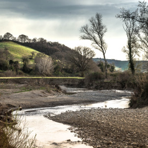 Torrente trasubbie