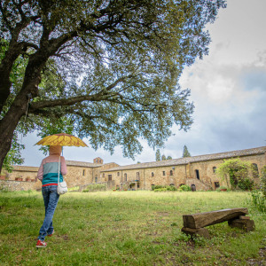 Cinigiano, borgo medievale