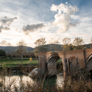 Ponte