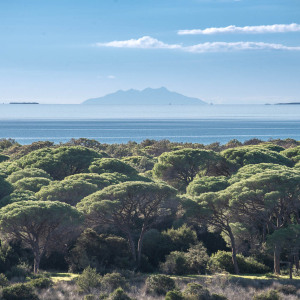 Panorama su Montecristo