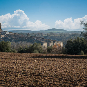 Pitigliano