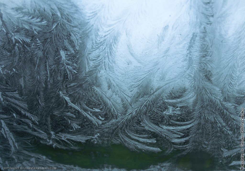Bosco ghiacciato dietro alle formazioni sul parabrezza dell'auto