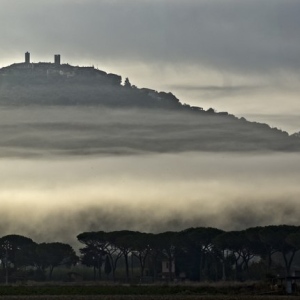 Nebbia sotto Montepescali, panorama