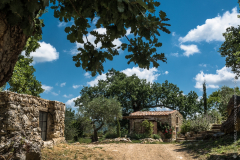 Paesaggi di sughero