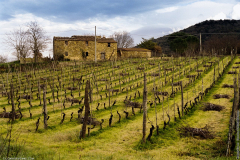 Poderi toscani