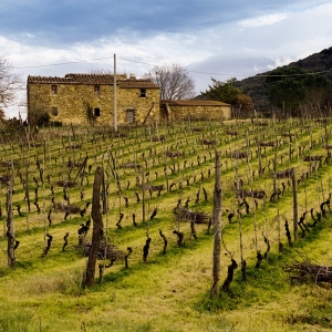 Poderi toscani