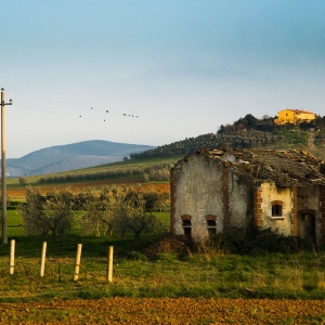 poderi-toscani_002