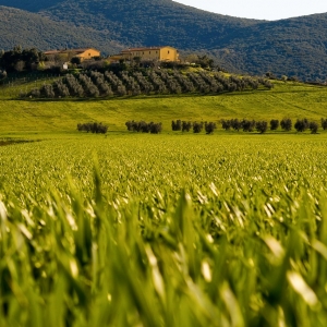 poderi-toscani_007