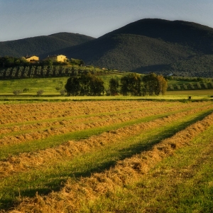 poderi-toscani_011