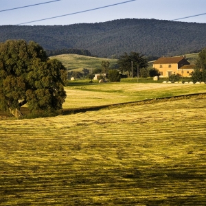 agriturismo melograno sulla strada banditella 1