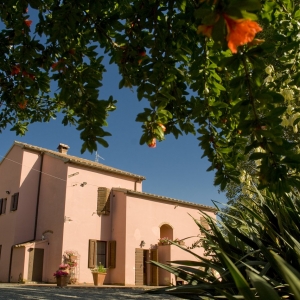 agriturismo melograno sulla strada banditella 1