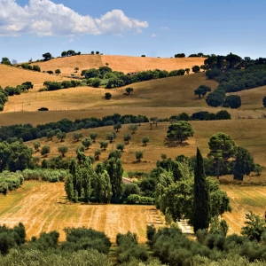 luglio a Poggio Cavallo