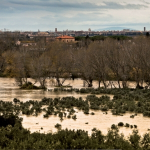 Ombrone fuori dal letto