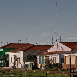 Marina di Grosseto, Shangai