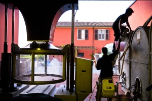 vendemmia-414_08