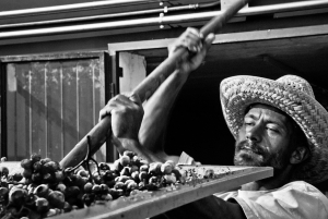 vendemmia-414_09