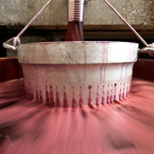 vendemmia-414_10