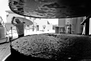 vendemmia-414_13