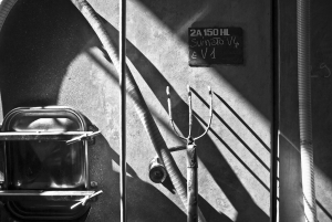 vendemmia-414_14