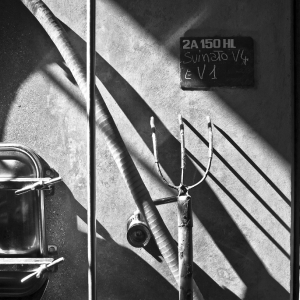 vendemmia-414_14