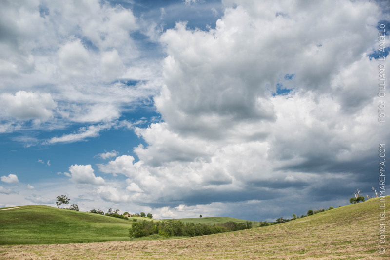 Butteri sulla via Clodia