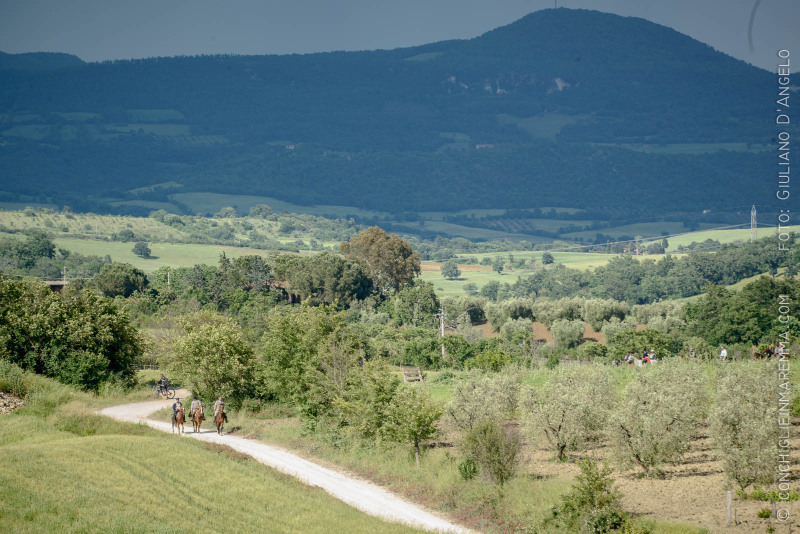 Butteri sulla via Clodia