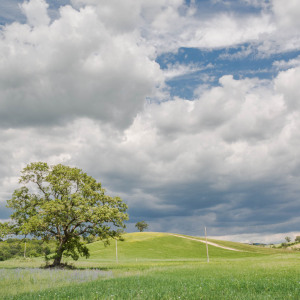 Butteri sulla via Clodia