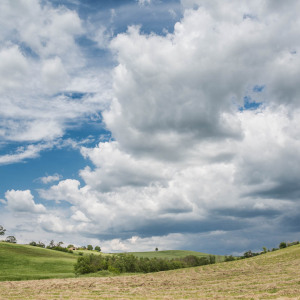 Butteri sulla via Clodia