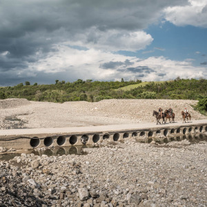 Butteri sulla via Clodia