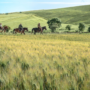 Butteri sulla via Clodia