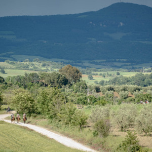 Butteri sulla via Clodia