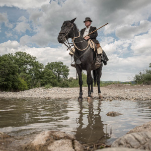 Butteri sulla via Clodia