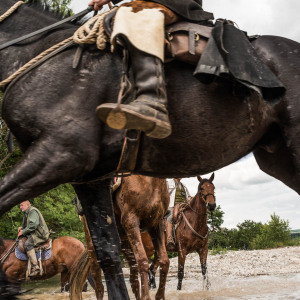 Butteri sulla via Clodia
