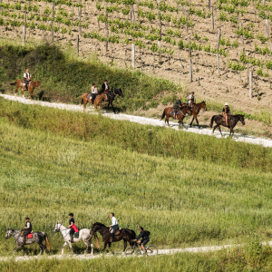 Butteri sulla via Clodia