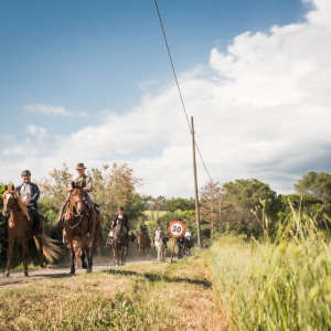Butteri sulla via Clodia