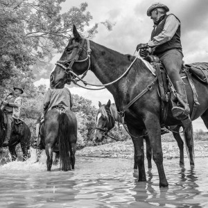 Butteri sulla via Clodia