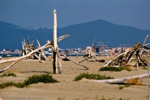 Alberese, il parco e l’ombrone sul National Geographic