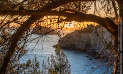 La cala nascosta
