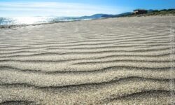 Onde