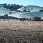 Colline verdi e campi marroni imbiancati dalla neve