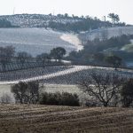 Colline innevate