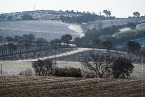 Colline innevate