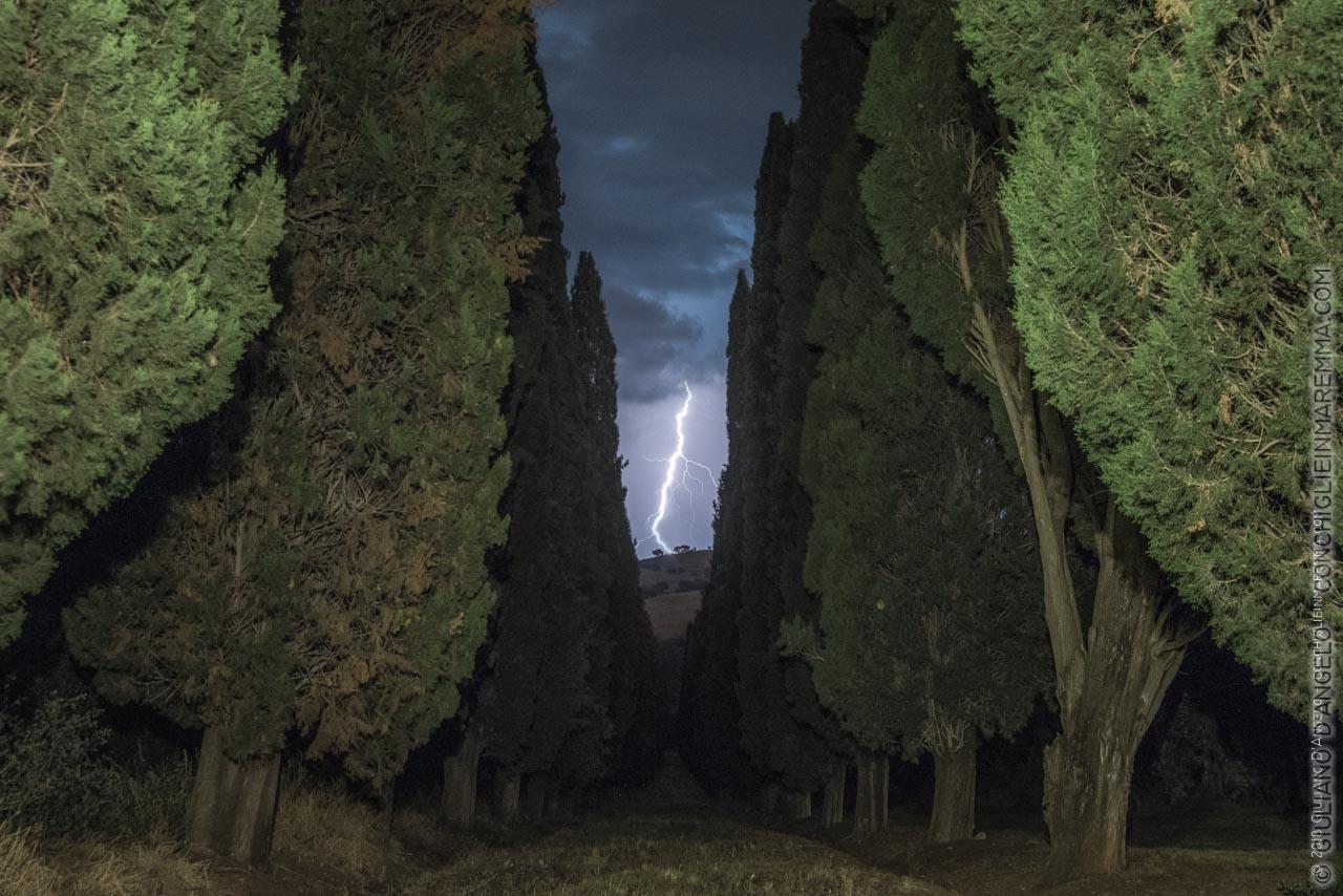 Lampo nella strada di cipressi