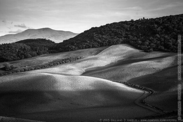 Colline di Montegiovi